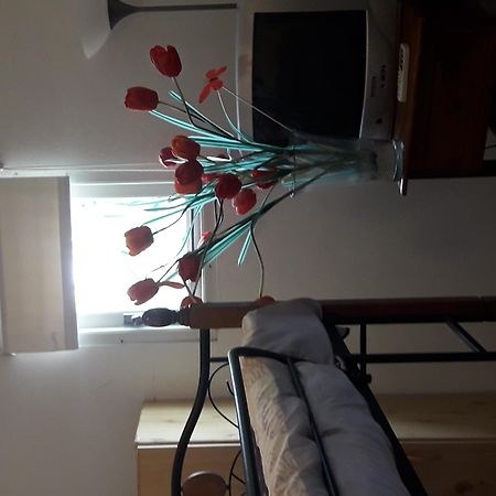 Palmita Hotel Hostel 奥拉涅斯塔德 外观 照片