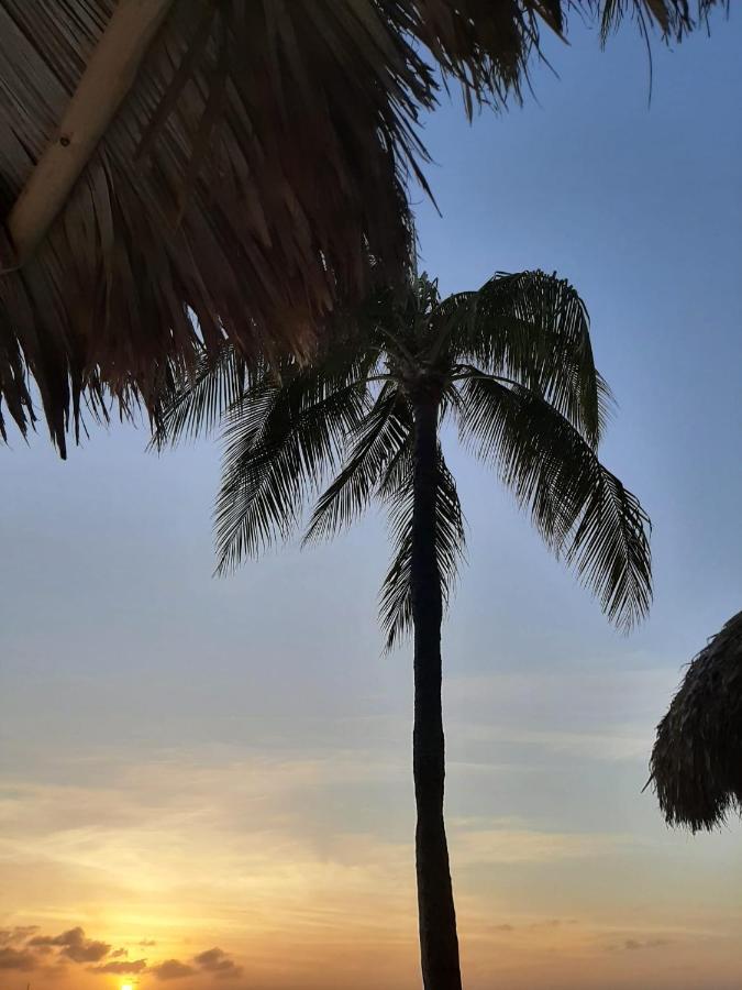 Palmita Hotel Hostel 奥拉涅斯塔德 外观 照片