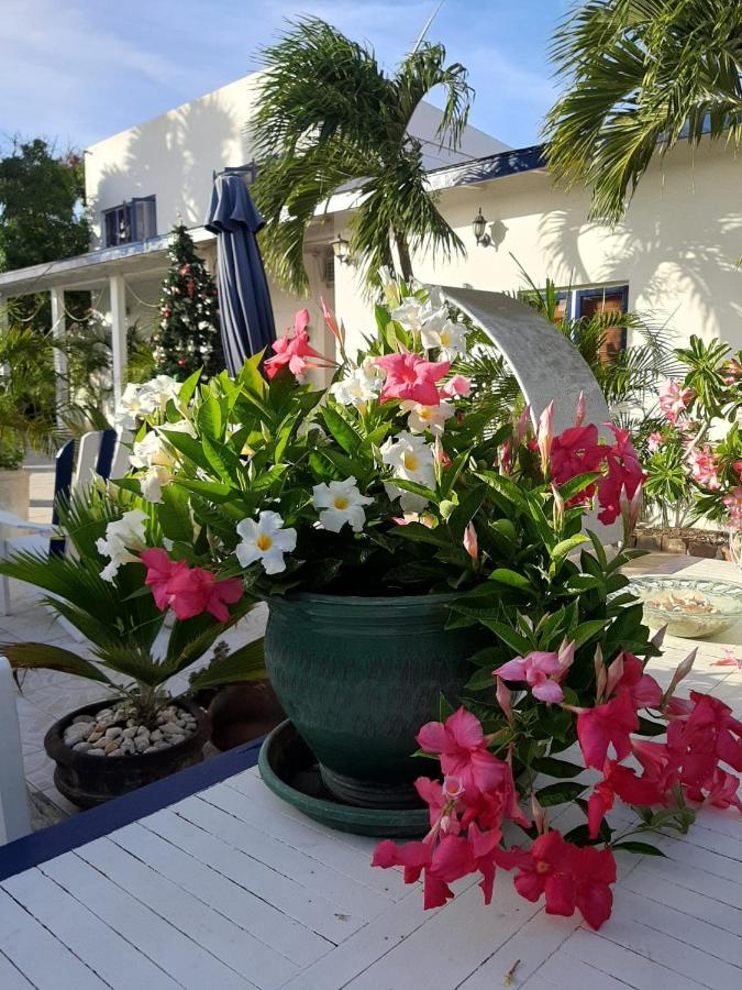 Palmita Hotel Hostel 奥拉涅斯塔德 外观 照片