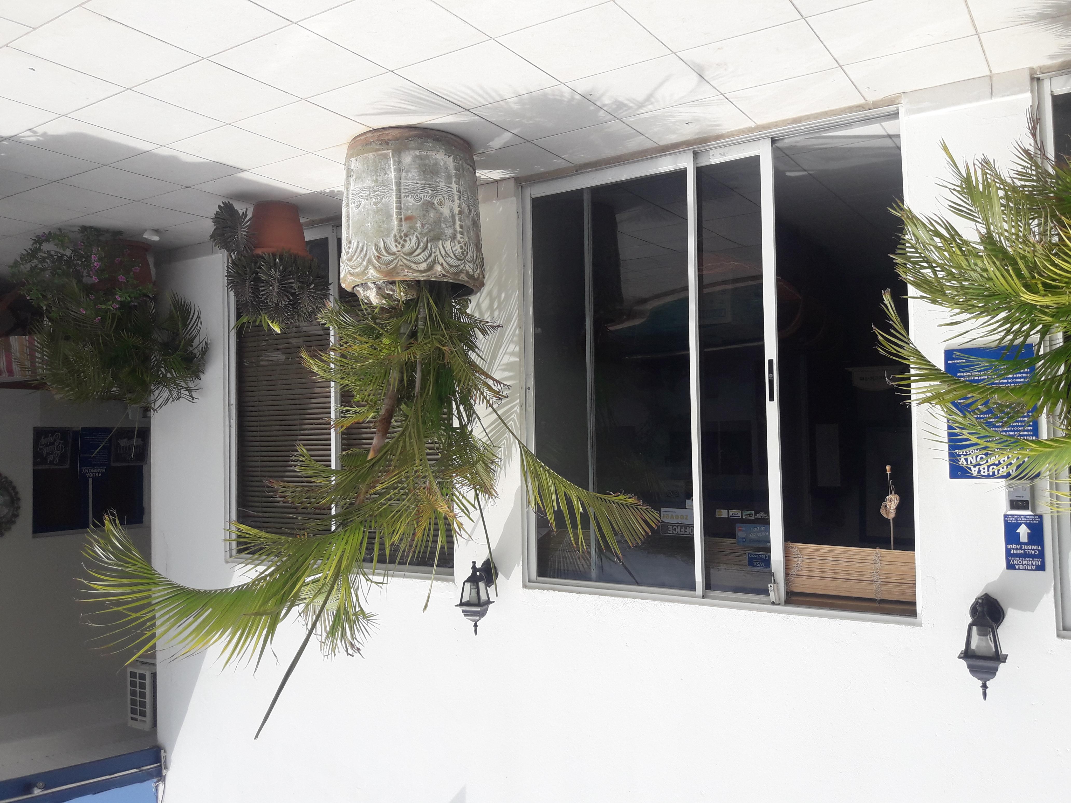Palmita Hotel Hostel 奥拉涅斯塔德 外观 照片