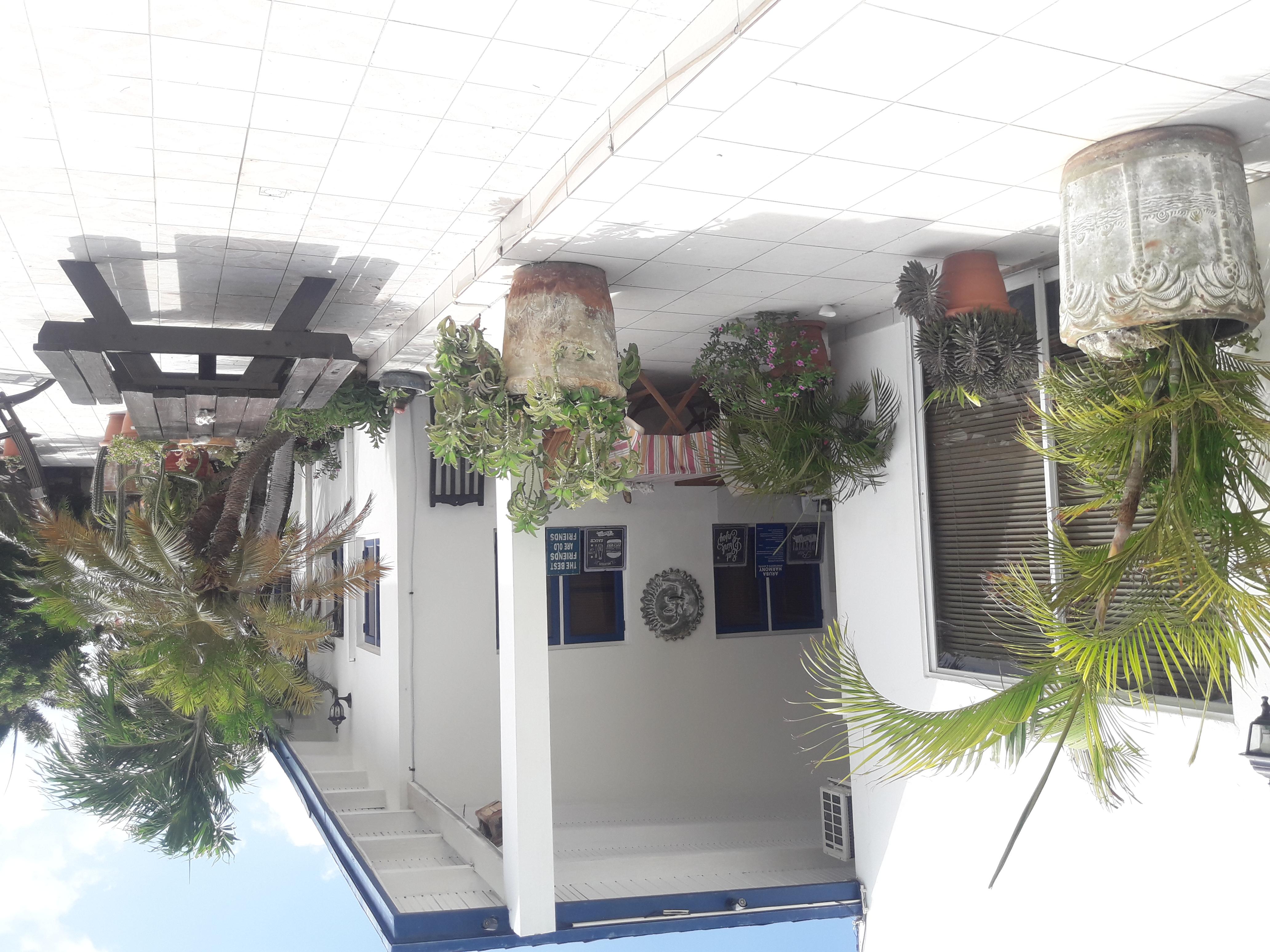 Palmita Hotel Hostel 奥拉涅斯塔德 外观 照片