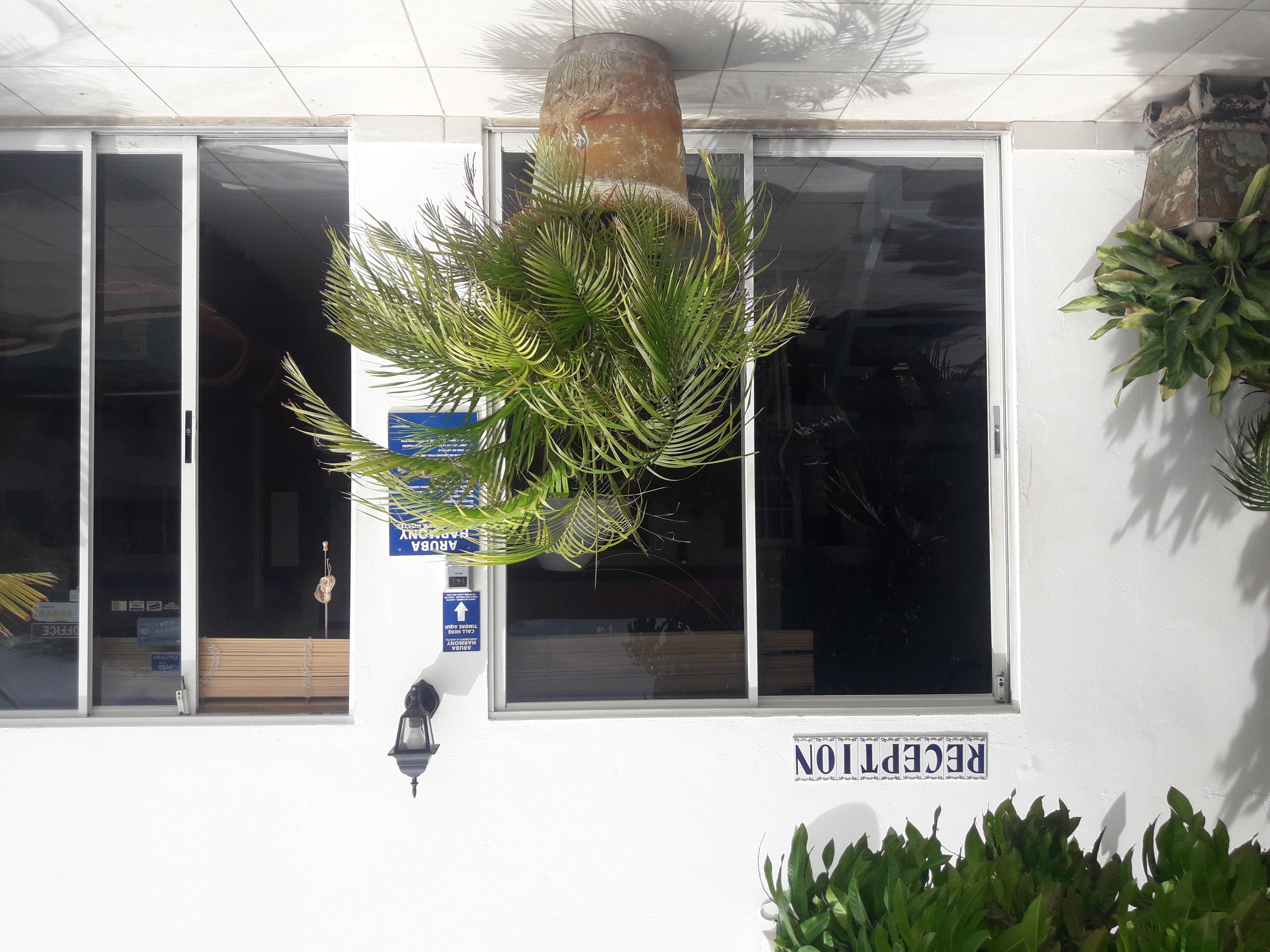 Palmita Hotel Hostel 奥拉涅斯塔德 外观 照片