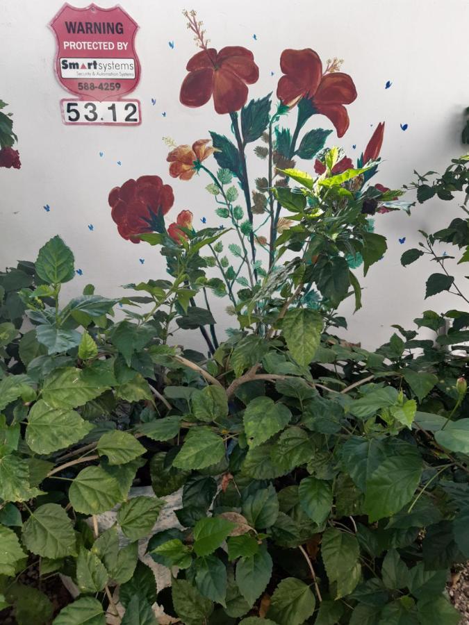 Palmita Hotel Hostel 奥拉涅斯塔德 外观 照片