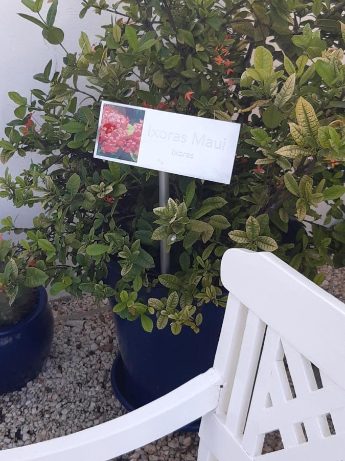 Palmita Hotel Hostel 奥拉涅斯塔德 外观 照片